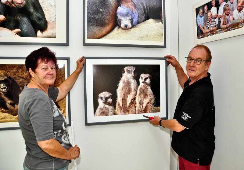 Die Ausstellung wird vorbereitet - Foto: US Die Ausstellung wird vorbereitet - Foto: US